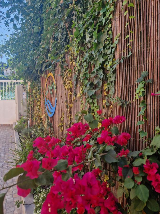 シントラCasa Do Albuquerque IIアパートメント エクステリア 写真